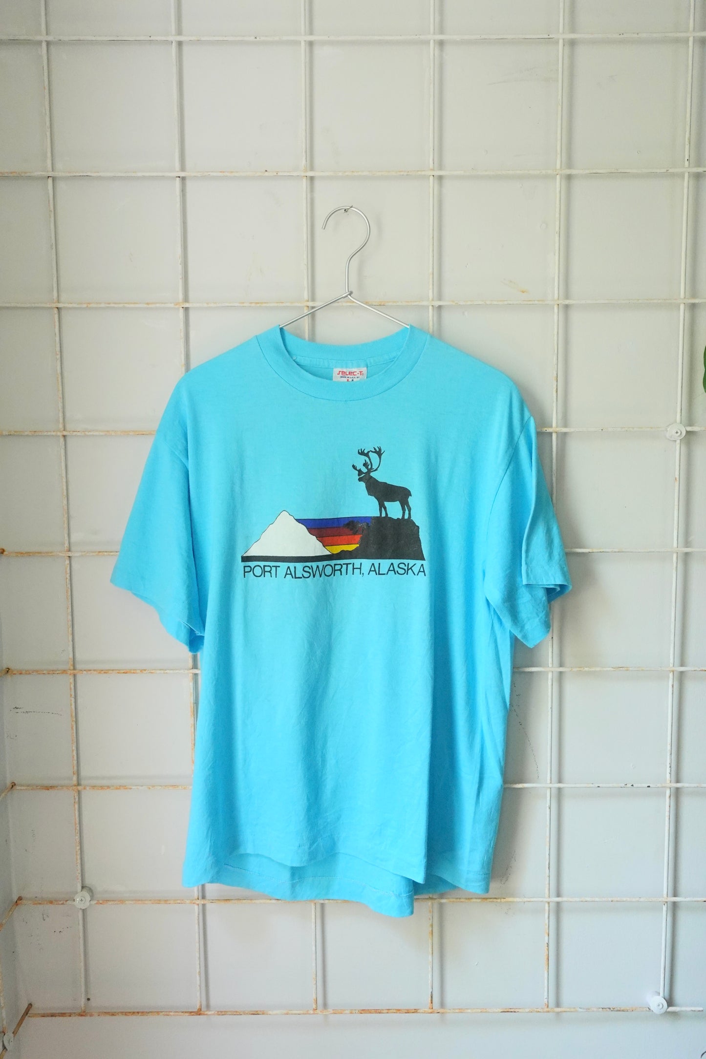 Used T-shirts 2025062912
