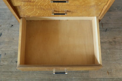 Vintage Chest 202505032